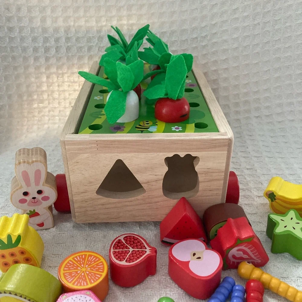 KMTJT Wooden Farm Orchard Shape Sorter Development Learning Toy EUC